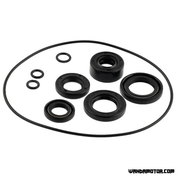 Oil seal kit Monkey Type startiton